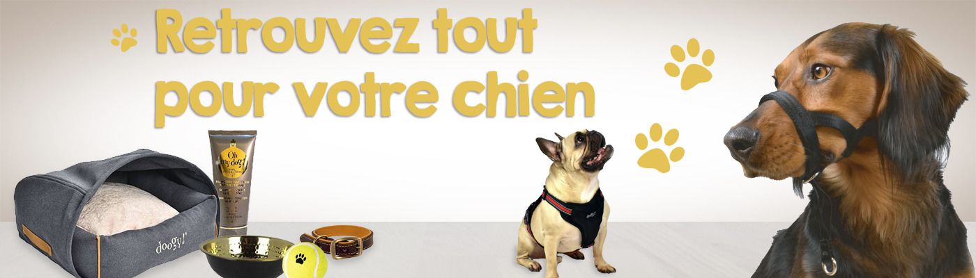 Sans bouton