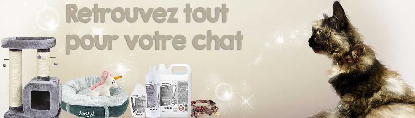 Sans bouton
